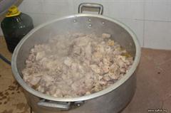 Carnevale 2011 (2)