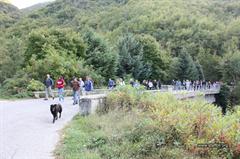 Giornata del camminare 2014 (10)