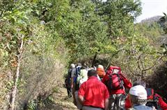 Giornata del camminare 2014 (13)