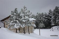 Staffoli (14)