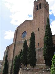 Staffoli a Siena 2014 (26)
